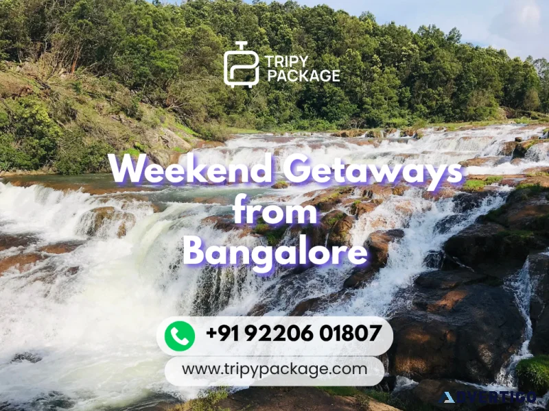 South india tour packages from bangalore discover more with tr