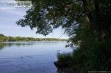 Wooded Lakefront acreage on Lawrence Lake