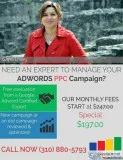 AdWords - The Real Results Only 197.00Month