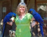 Hyacinth Macaw Parrots Male and Female ready now