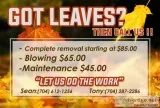 Leaf removal SPECIAL