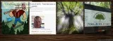 Tree Removal Service Augusta GA  Entire CSRA  Check Our Reviews