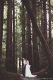 Wedding Photography and Films