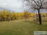 160 acres of wooded hunting and pasture land