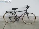 Schwinn Crisscross 21 Speed - 250 (Christopher Metcalfe s Creati