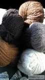 Alpaca Heard for Sale