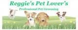 Experienced Groomer and Bather Wanted