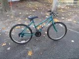 Murray Mt Climber 10 speed by Christopher Metcalfe Creation s