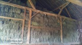 Hay For Sale  Orchard Grass  Horse Hay