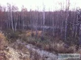 8180 S Kingfisher Drive Wasilla AK 99654