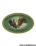 Old Friends at Cabin Creek 7th Annual Horses Birthday Party