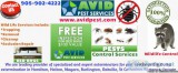 Affordable Bed Bug Heat Extermination Hamilton and St catharines