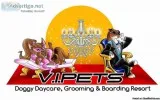 Doggy Daycare Boarding and Grooming