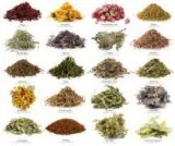 All Natural Products