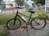 Bikes for Christmas