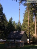 Tony&rsquos Professional Tree Cutting offers affordable tree car