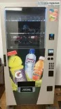 Adopt Robin a TanYellowFawn - with White Chinese Crested  Mixed 