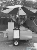 Big Dog Hot Dog cart