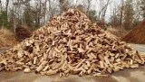 I pay cash for your oak firewood I buy firewood by the cord.