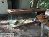 Snaketank