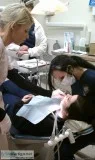 Dental Chairside Assistant