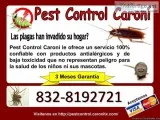 Problemas con chinches cucarachas termitas pulgas u otras Plagas