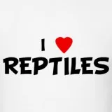 Looking for unwanted Gecko s LizardsReptiles Corn snakes