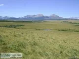 2 Pastures For Lease 150ac each