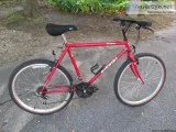 Nishiki Adult Pueblo Mountain Bike Christopher Metcalfe Creation