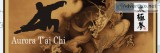 Starte a New Years Resolution learn Tai chi