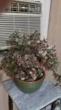 VINTAGE ORIENTAL GLASS and JADE TREE PLANT