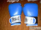 Everlast Boxing Gloves