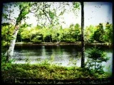 Owner Financed Riverfront Lots in Howland
