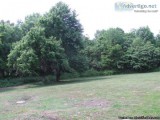 14.5 ac. Ballard Co. Great for Hunting Farm Some Timber