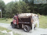 Semi-Seasoned Firewood 2 Full Cord Load