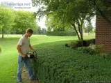 HIRE US FOR ALL YOUR GARDENING NEEDS INCLUDING WEED ABATEMENTHED