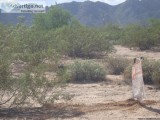 3 Acres in Maricopa close to Phoenix-TucsonUtili ties No Qualify