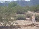 3 Acres in Maricopa close to Phoenix-TucsonUtili ties No Qualify