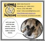 Adopt ZEUS a Great Dane  Mixed dog in Little Rock AR (14975696)