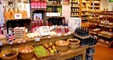 commercial property in noida for rent