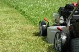 Need a GARDENER set up for lawn service