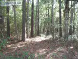 Southport NC Land for sale