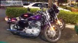 2008 Harley Davidson Classic 883 Purple