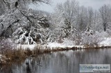 Lakefront Acreage on a Private Lake right by Public Land