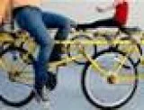 Merry - Go - Round - Bike - 4000 (Christopher Metcalfe Creation 