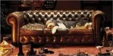 Tufted Furniture Both Stylish and Popular   Furniture Now 