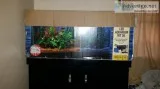 55gallon tank n stand