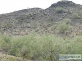 REDUCED Fantastic Mountain and City Light Views in Laveen