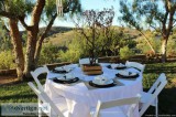 Splendid Party Rentals