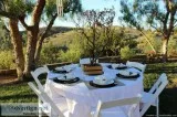 Splendid Party Rentals